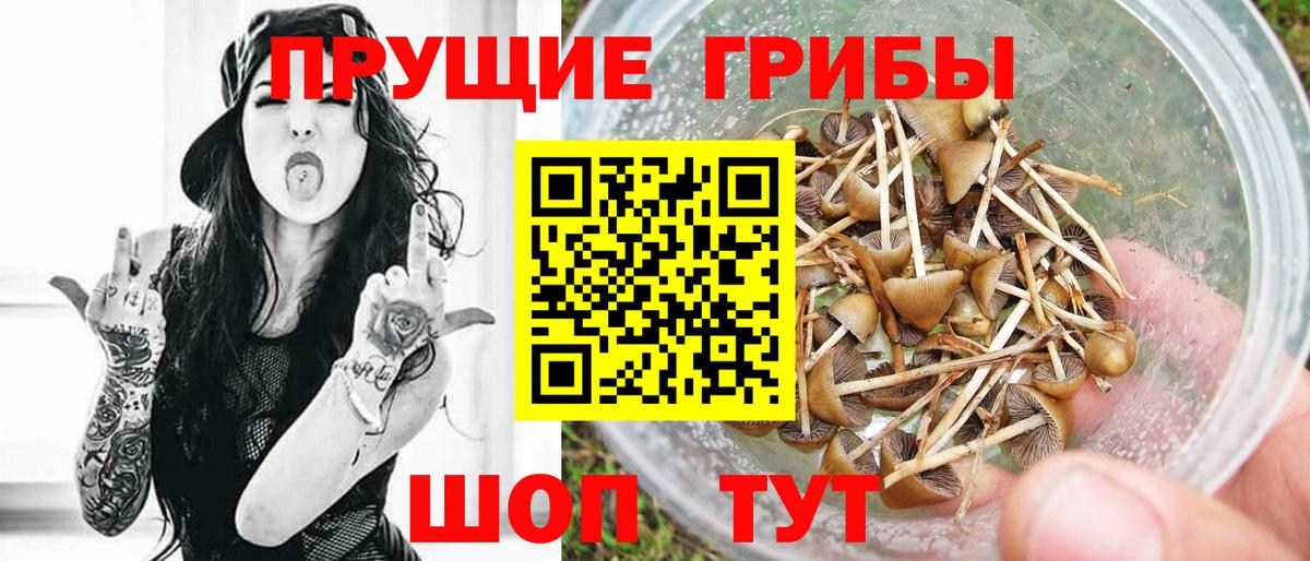 Галлюциногенные грибы Psilocybe  даркнет сайт  Кстово  Вход с VPN 